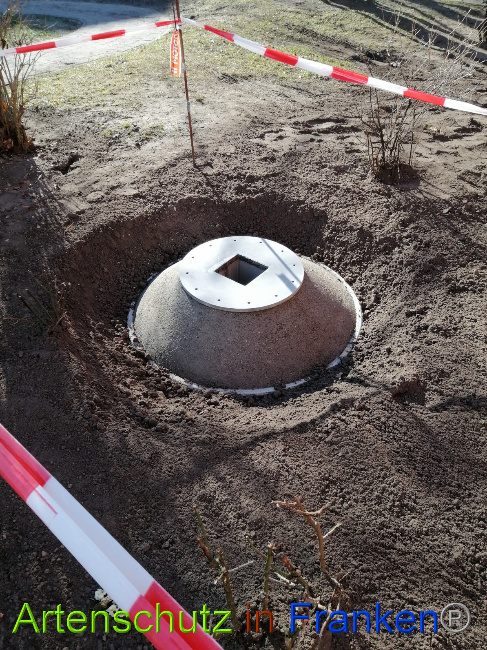 © Artenschutz in Franken® Bild zum Eintrag (1045081-160)
