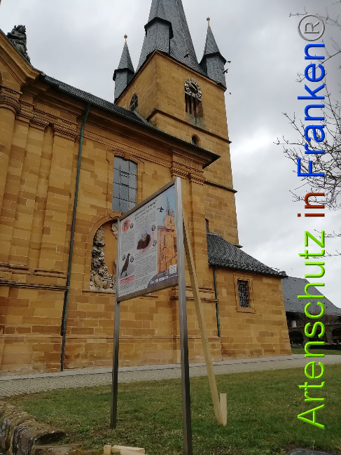 © Artenschutz in Franken® Bild zum Eintrag (1045118-160)