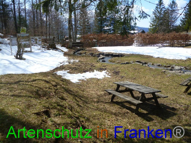 © Artenschutz in Franken® / Müller Bild zum Eintrag (1046438-160)