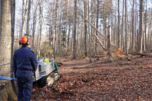 © Foto: Gregor Wolf/Nationalpark Bayerischer Wald Bild zum Eintrag (1046661-160)