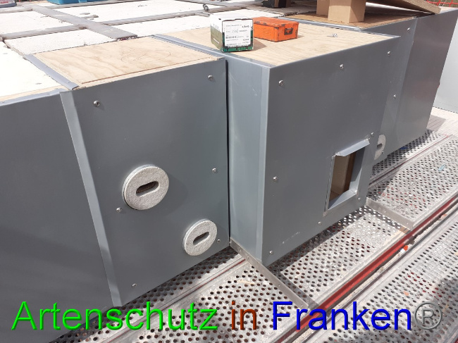 © Artenschutz in Franken® Bild zum Eintrag (1046950-160)