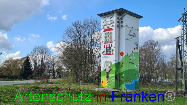 © Artenschutz in Franken® / Michael Sonfeld Bild zum Eintrag (1047481-160)