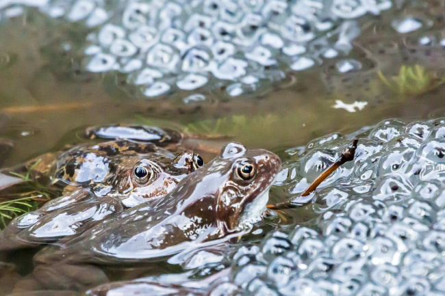 © Foto: BaySF/Martin Hertel Bild zum Eintrag (1047910-160)