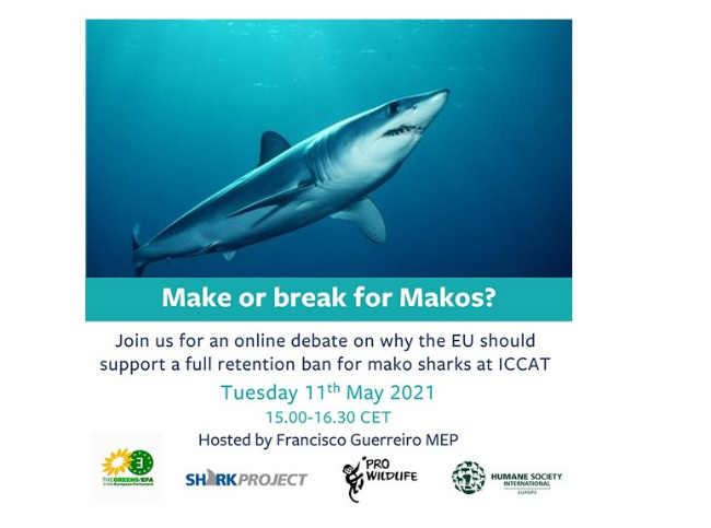 Ā© SHARKPROJECT Bild zum Eintrag (1048358-160)
