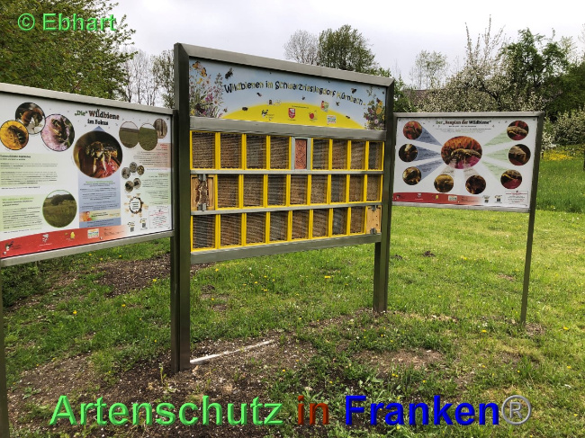 Bild zum Eintrag (1048975-160)