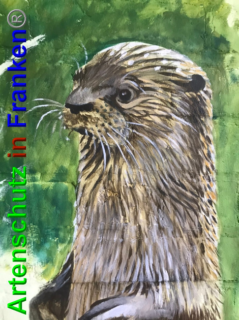 © Artenschutz in Franken® Bild zum Eintrag (1049341-160)