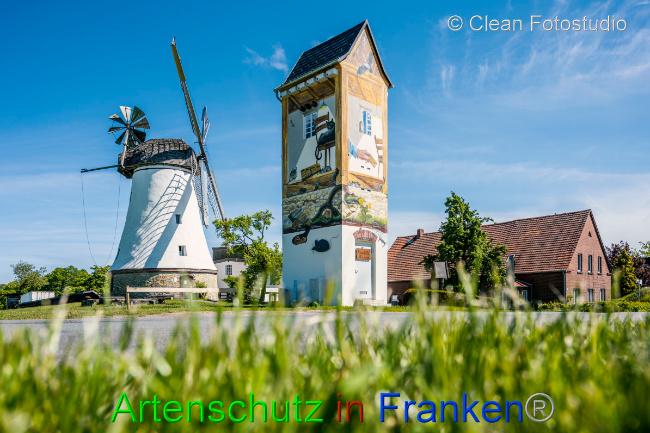 © Artenschutz in Franken® / CLEAN Fotostudio GmbH Bild zum Eintrag (1050494-160)
