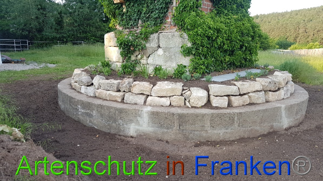 © Artenschutz in Franken® Bild zum Eintrag (1050900-160)