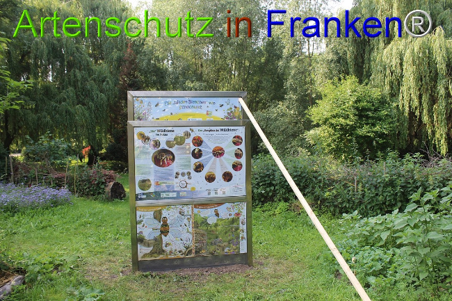 © Artenschutz in Franken® Bild zum Eintrag (1051190-160)