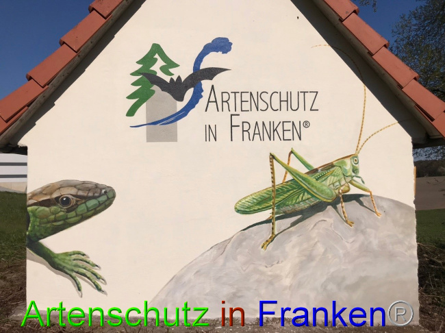 © Artenschutz in Franken® Bild zum Eintrag (1051397-160)