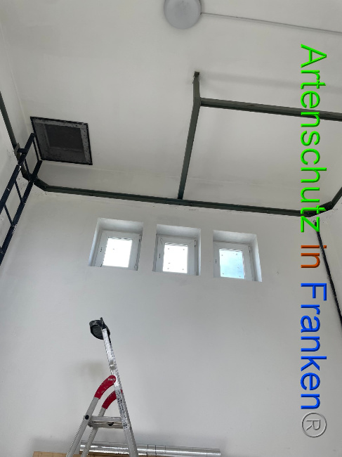 © Artenschutz in Franken® / Vehoff Bild zum Eintrag (1051671-160)