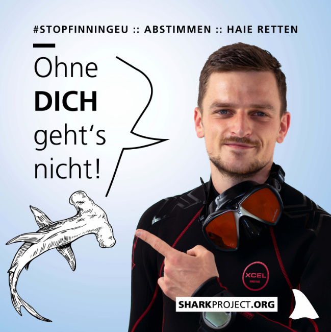 © Sharkproject Bild zum Eintrag (1051835-160)