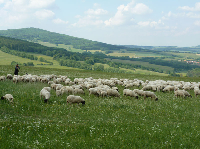 © Julia Gombert Bild zum Eintrag (1052713-160)