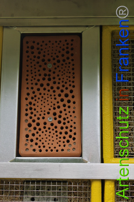 © Artenschutz in Franken® Bild zum Eintrag (1053181-160)