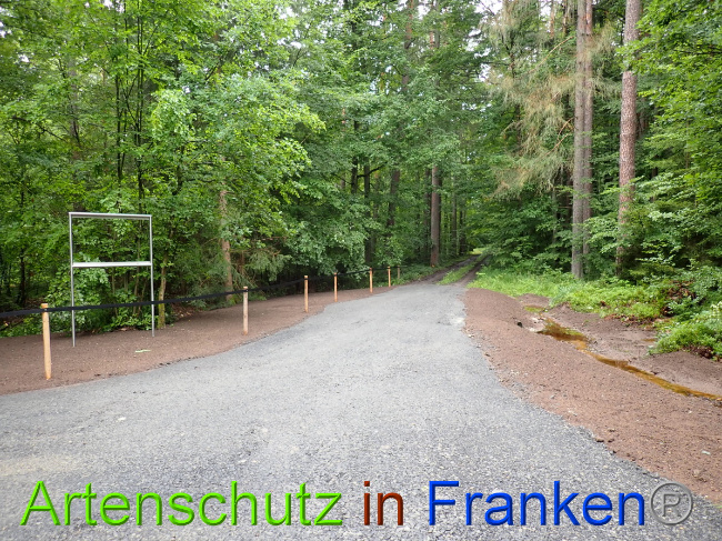 © Artenschutz in Franken® Bild zum Eintrag (1053200-160)