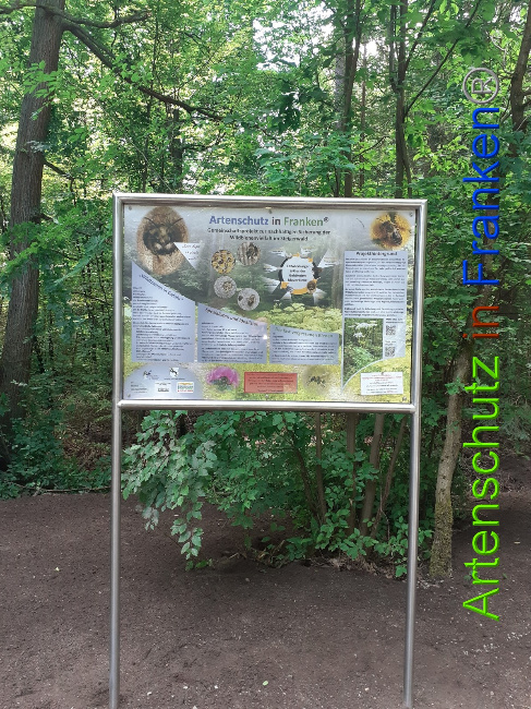 © Artenschutz in Franken® Bild zum Eintrag (1053250-160)