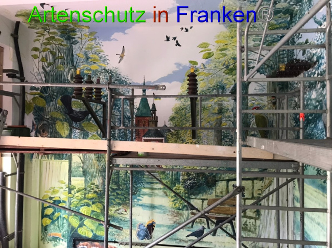 © Artenschutz in Franken® Bild zum Eintrag (1053384-160)