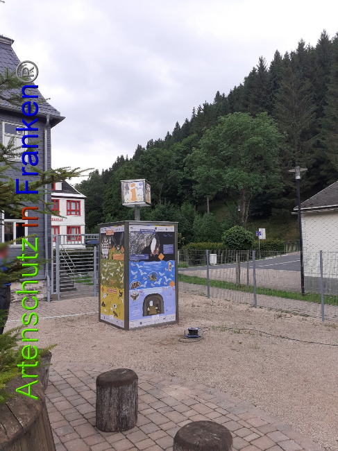 Ā© Artenschutz in FrankenĀ® Bild zum Eintrag (1053388-160)