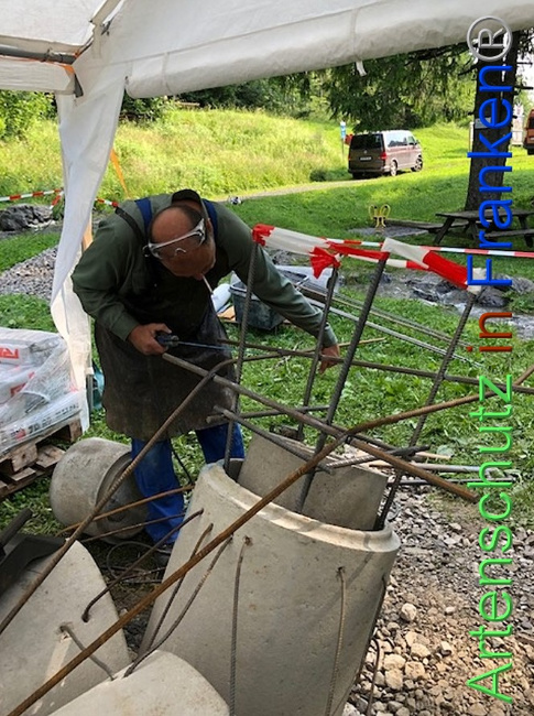 © Artenschutz in Franken® / Krautwurst Bild zum Eintrag (1053790-160)