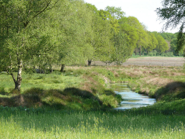 © Anne Breitenbach Bild zum Eintrag (1056247-160)