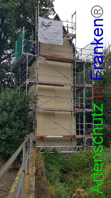 © Artenschutz in Franken® Bild zum Eintrag (1057297-160)