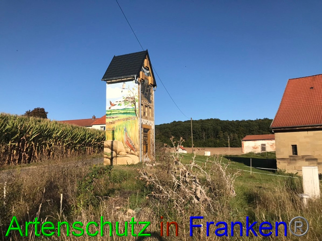 Bild zum Eintrag (1057865-160)