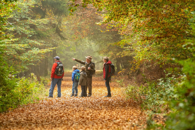 © Foto: Nationalpark Eifel/D. Ketz Bild zum Eintrag (1059413-160)