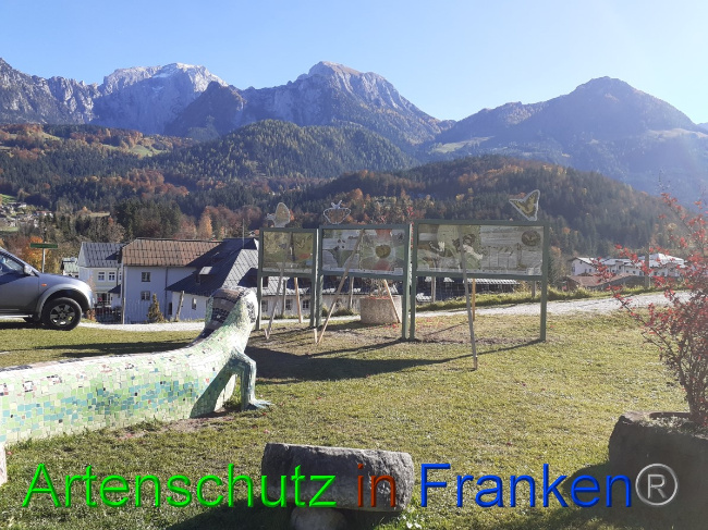 © Artenschutz in Franken® Bild zum Eintrag (1059546-160)