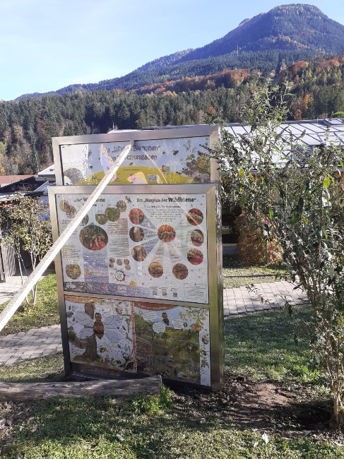 © Artenschutz in Franken® Bild zum Eintrag (1059564-160)