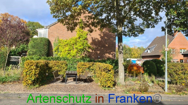 © Artenschutz in Franken® / Sonfeld Bild zum Eintrag (1059580-160)