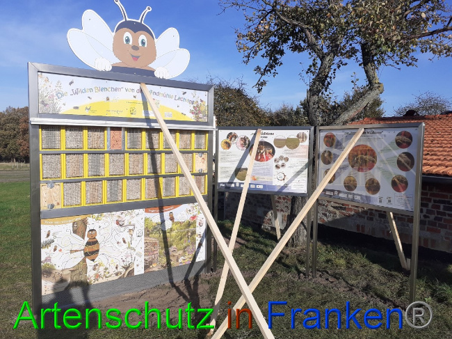 © Artenschutz in Franken® Bild zum Eintrag (1060114-160)