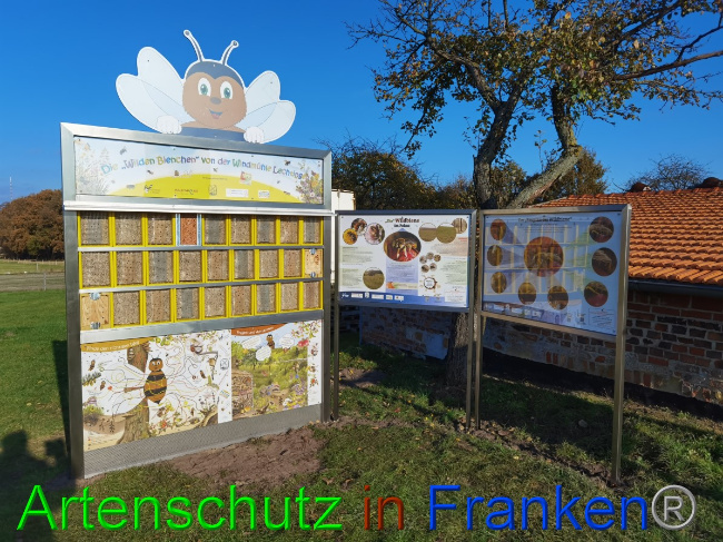 © Artenschutz in Franken® / Vennemann Bild zum Eintrag (1060239-160)