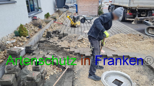 © Artenschutz in Franken® Bild zum Eintrag (1060335-160)