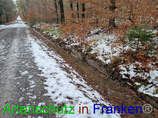 Bild zum Eintrag (1061243-160)