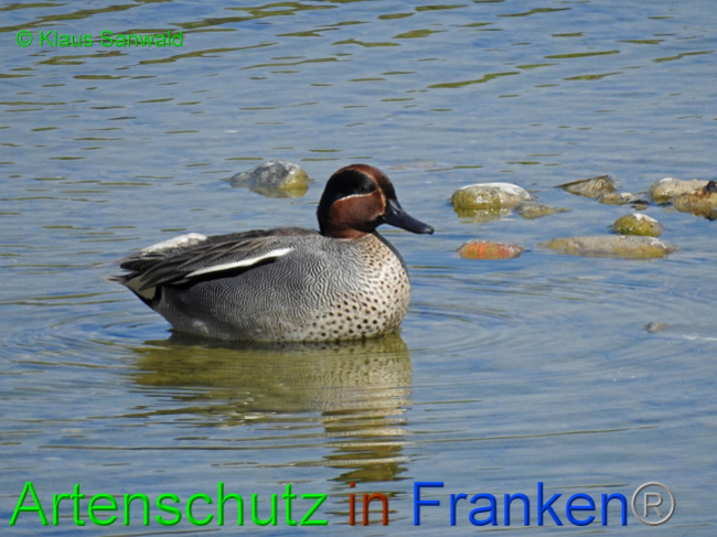 Bild zum Eintrag (1061341-160)