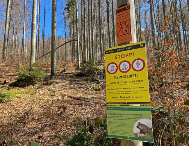 © Foto: Gregor Wolf/Nationalpark Bayerischer Wald Bild zum Eintrag (1064016-160)