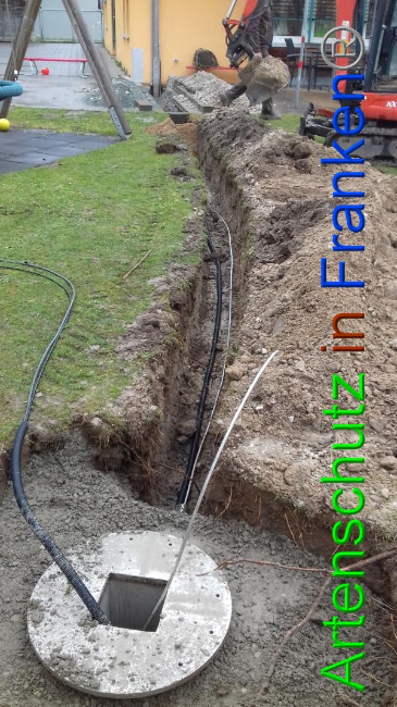 © Artenschutz in Franken® Bild zum Eintrag (1066136-160)