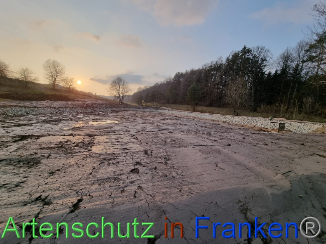 © Artenschutz in Franken® Bild zum Eintrag (1066888-160)