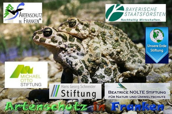 © Artenschutz in Franken® Bild zum Eintrag (1067376-160)