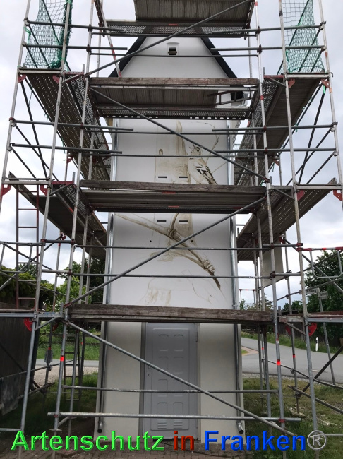 © Artenschutz in Franken® Bild zum Eintrag (1069077-160)