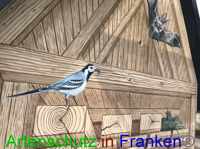 © Artenschutz in Franken® Bild zum Eintrag (1069739-160)