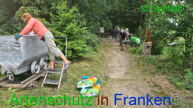 © Artenschutz in Franken® / Sonfeld Bild zum Eintrag (1069800-160)