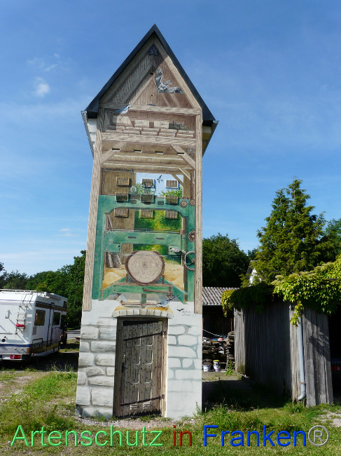 © Artenschutz in Franken® / Oberschmidt Bild zum Eintrag (1071133-160)