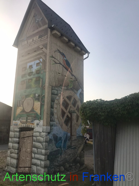 © Artenschutz in Franken® Bild zum Eintrag (1071350-160)