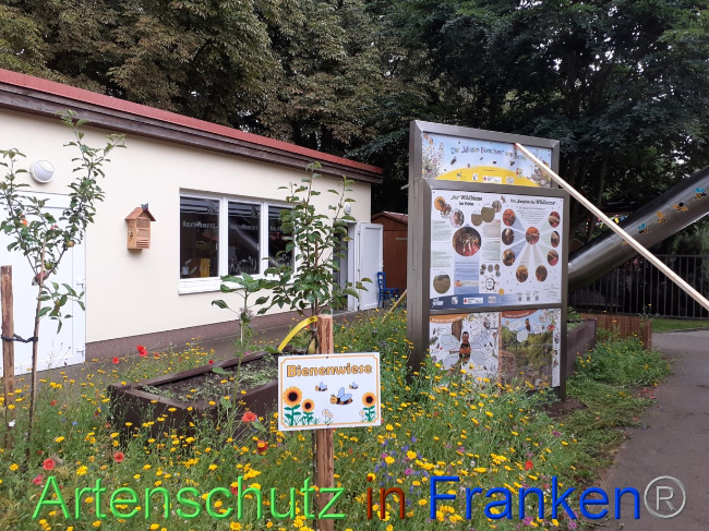 © Artenschutz in Franken® Bild zum Eintrag (1071966-160)