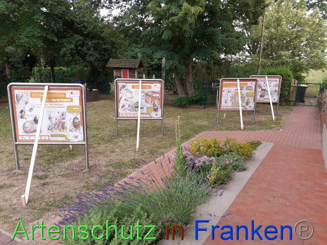 © Artenschutz in Franken® Bild zum Eintrag (1072162-160)