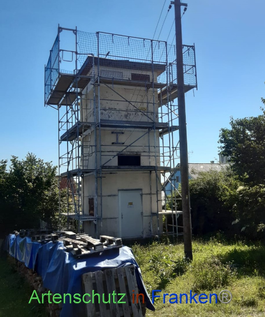 © Artenschutz in Franken® Bild zum Eintrag (1072301-160)