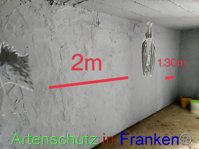 © Artenschutz in Franken® / Bayer Bild zum Eintrag (1072454-160)