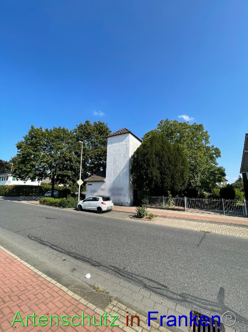© Artenschutz in Franken® Turmstationen Coesfeld e.V. Bild zum Eintrag (1072589-160)