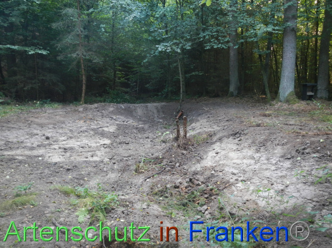 Bild zum Eintrag (1074799-160)